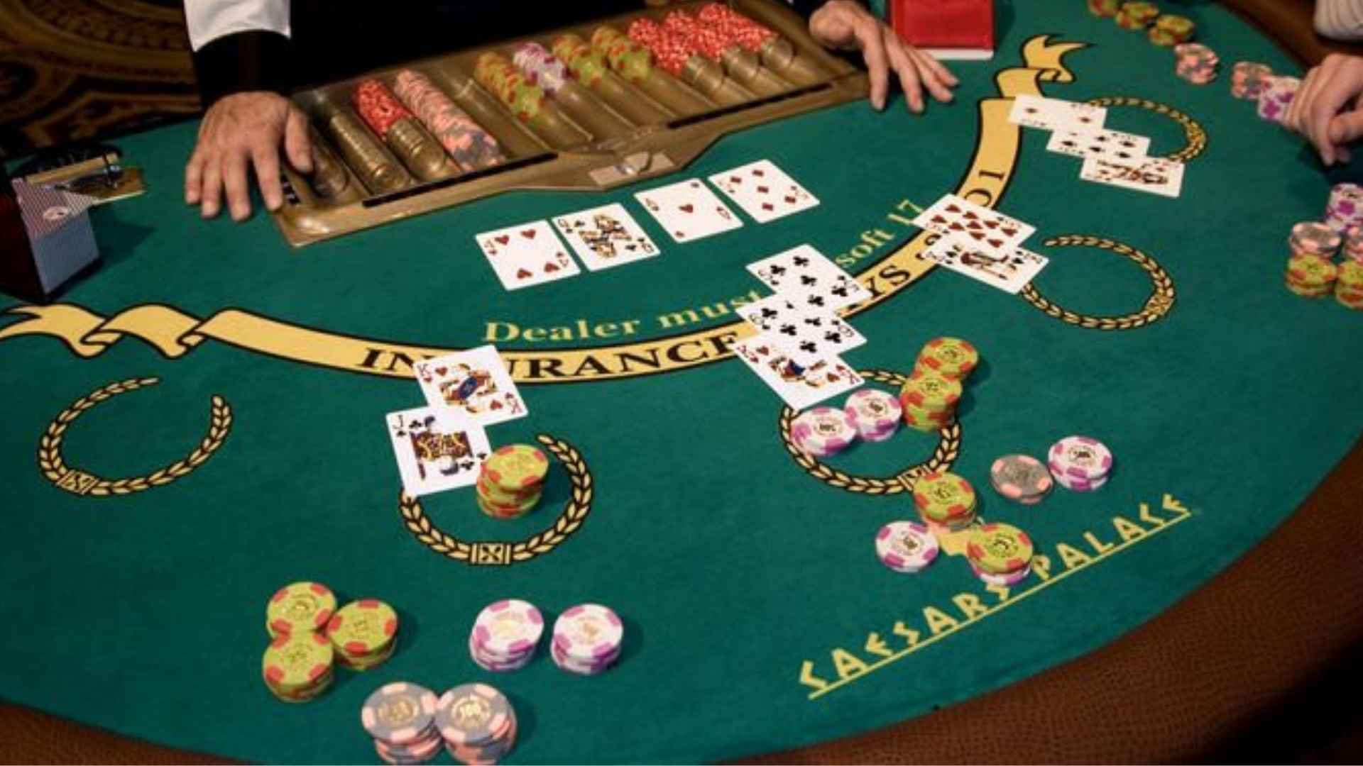 How Experienced Players Approach Bridge Games